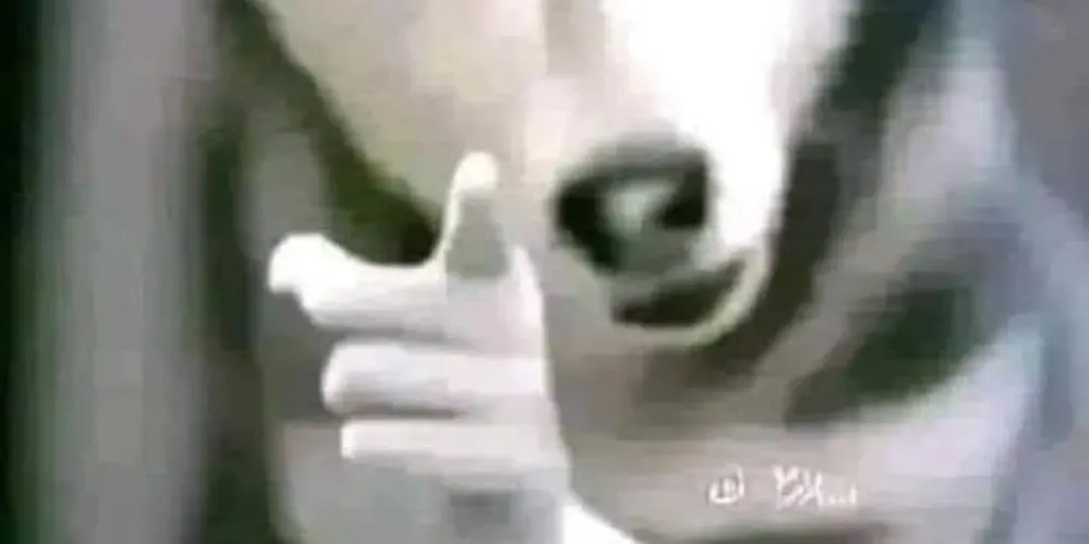 Imagem do grupo de WhatsApp Figurinhas grátis😝