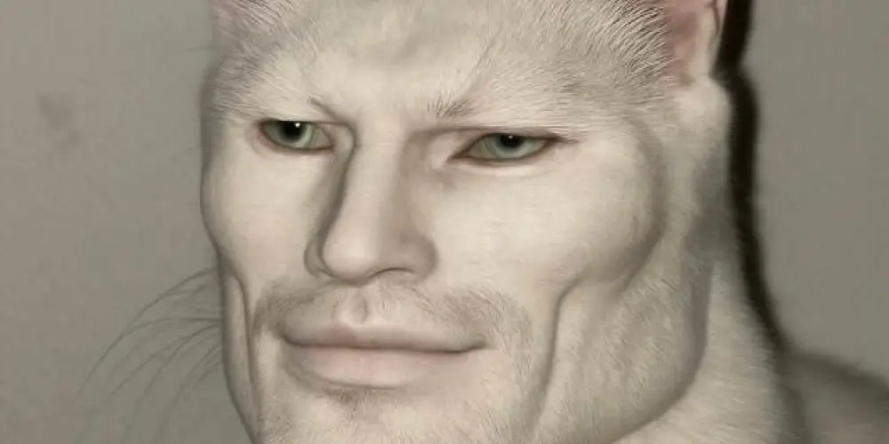 Imagem do grupo de WhatsApp Figurinhas liberadas