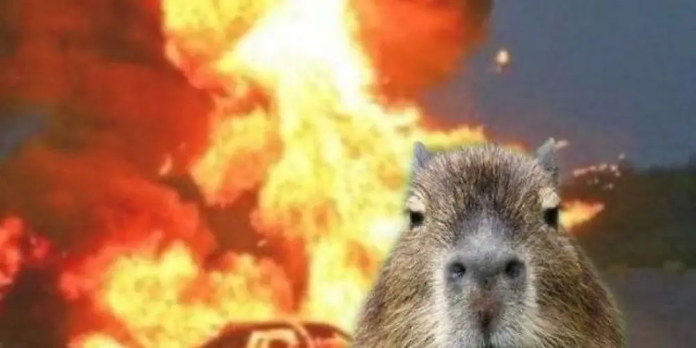 Imagem do grupo de WhatsApp FIGURINHAS (Memes, Gif e Fotos) 🔖