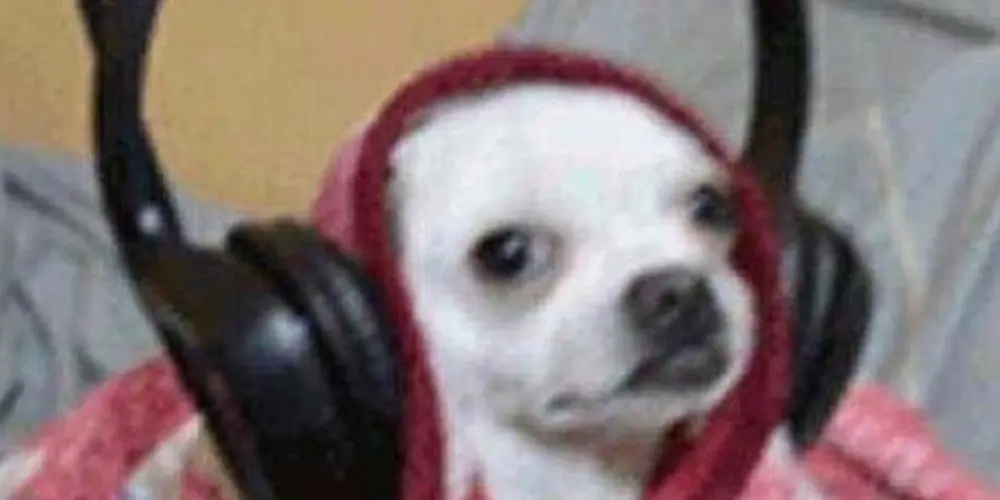 Imagem do grupo de WhatsApp figurinhas sem limites🫦