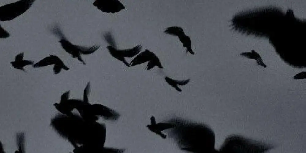 Imagem do grupo de WhatsApp 𖧷   ׄ   fιᥴhᥲ᥉ִ   🃏