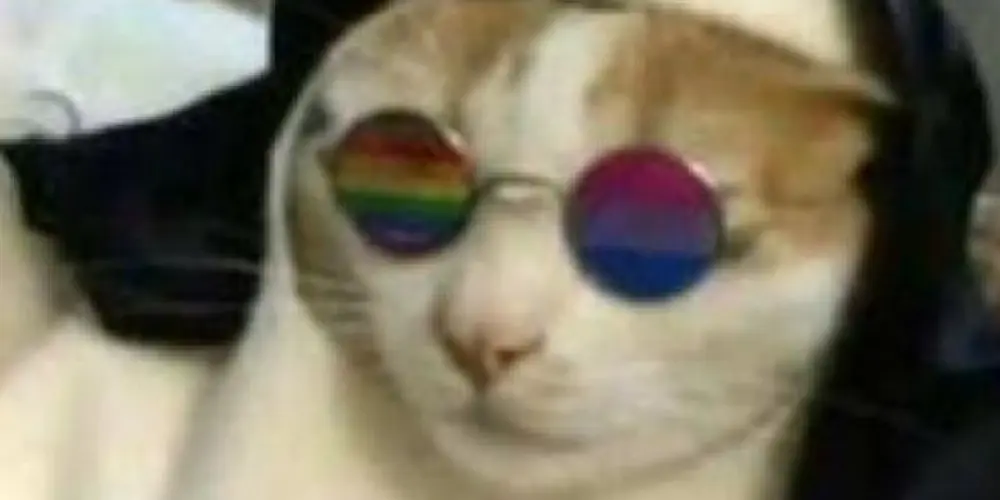 Imagem do grupo de WhatsApp Filhos do Chuck norris 😎😎