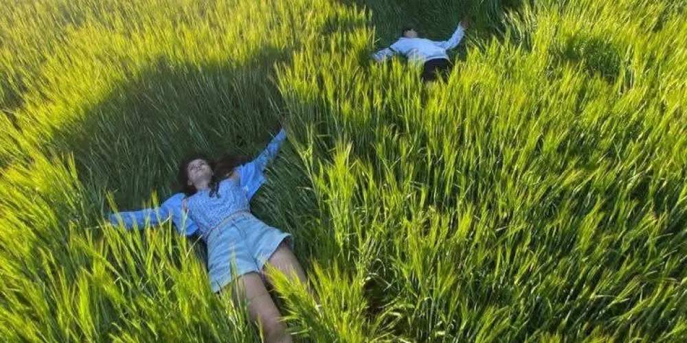 Imagem do grupo de WhatsApp Filmes do interior