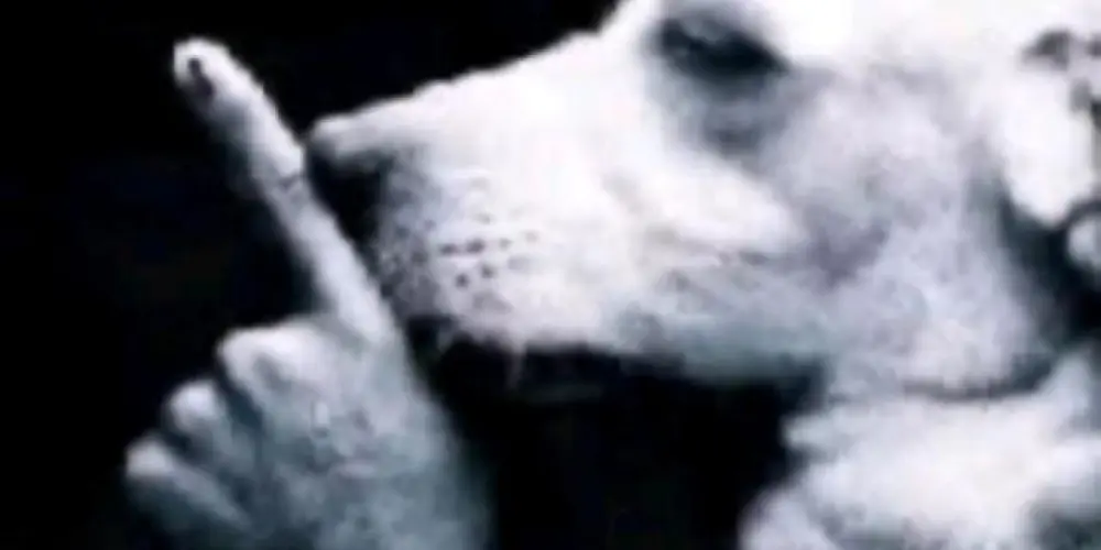 Imagem do grupo de WhatsApp 📹🎥Filmes e series 🎞📺