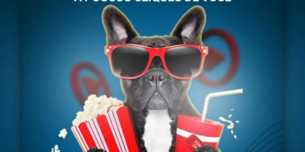 Imagem do grupo de WhatsApp Filmes e Series Cinema 😍