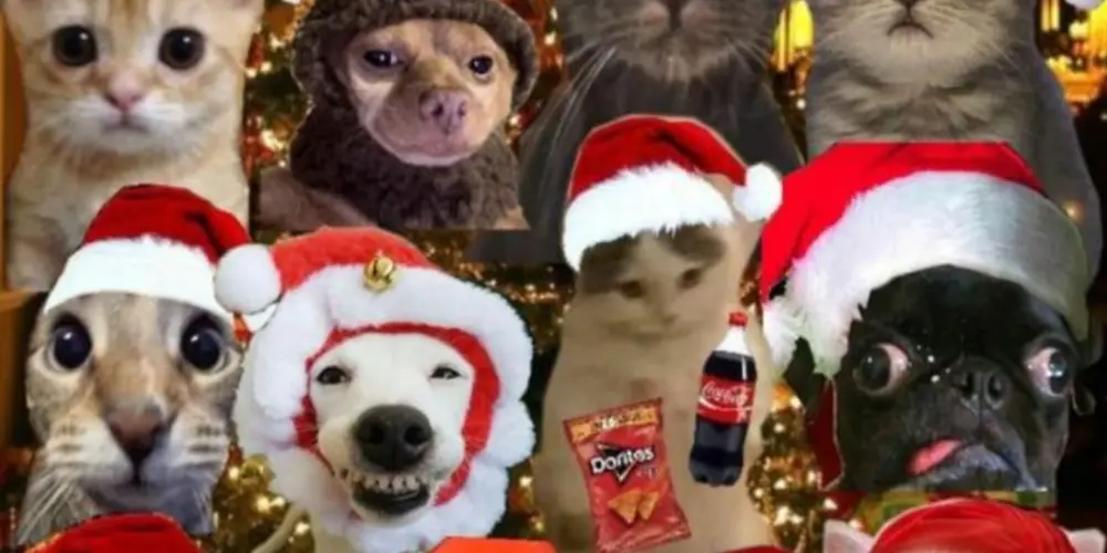 Imagem do grupo de WhatsApp Fim de ano/ natal e ano novo