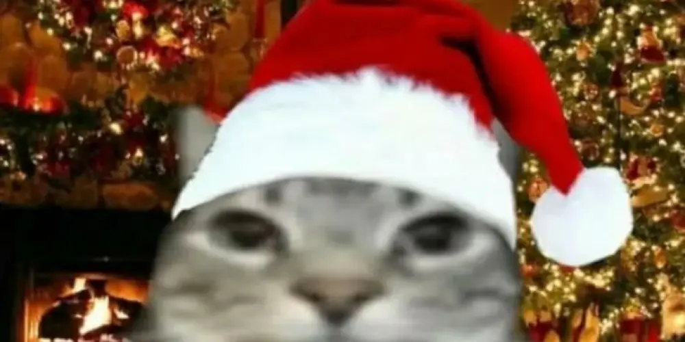 Imagem do grupo de WhatsApp Firo fire