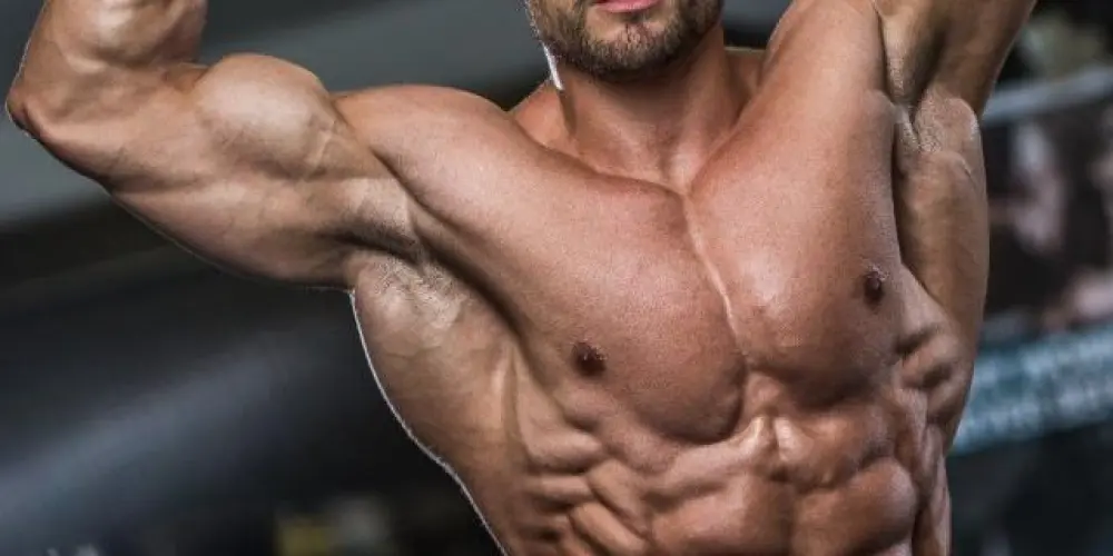 Imagem do grupo de WhatsApp Fitnes