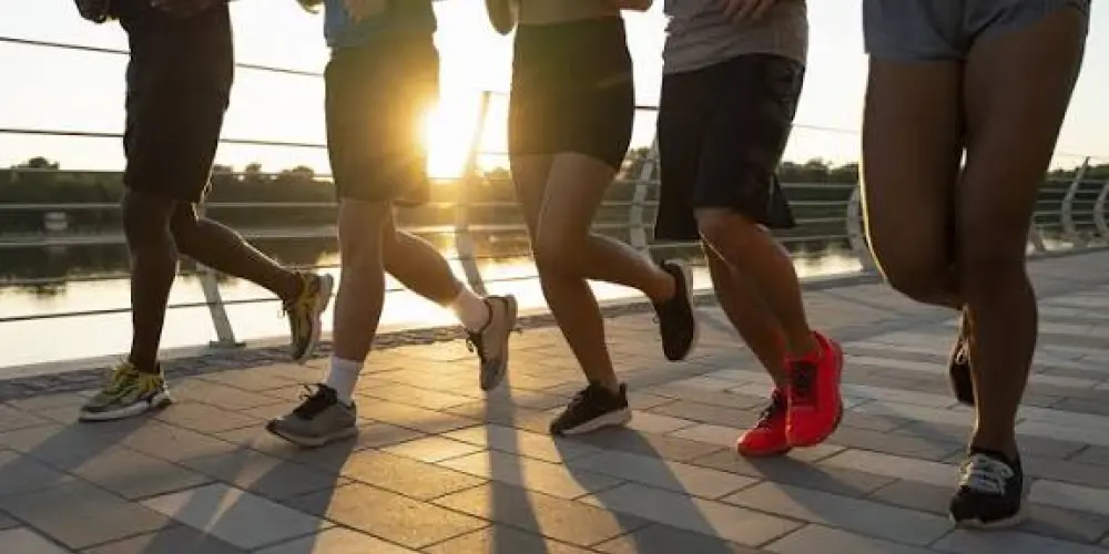 Imagem do grupo de WhatsApp FitWalk 🚴🚴🏃🏃🍎🍋‍🟩🍉🥦🥑