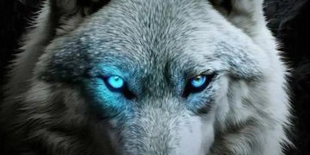 Imagem do grupo de WhatsApp FL fúria letal 💣( GUILDA)