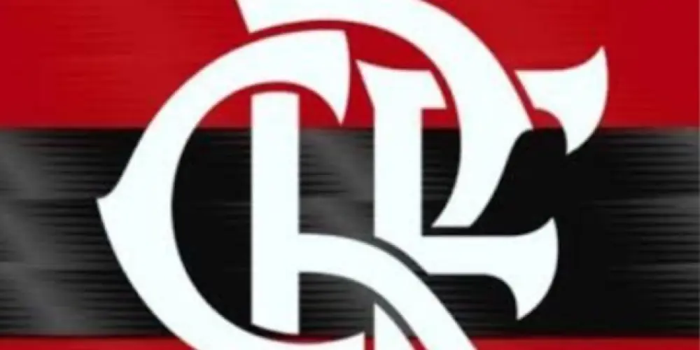 Imagem do grupo de WhatsApp FLAMENGO ❤️🤍