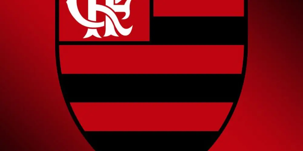 Imagem do grupo de WhatsApp FLAMENGO 🖤❤️