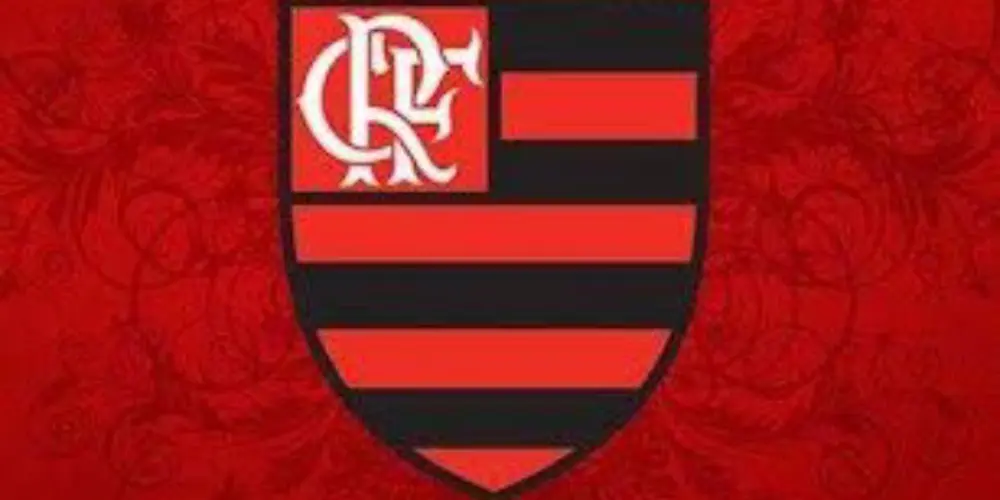 Imagem do grupo de WhatsApp Flamengo