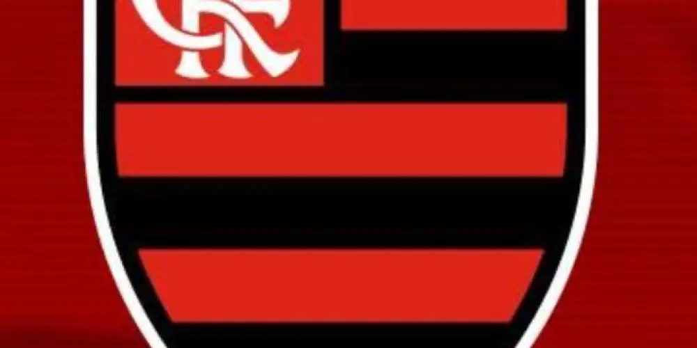 Imagem do grupo de WhatsApp Flamengo