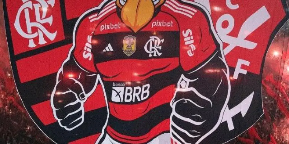 Imagem do grupo de WhatsApp Flamengo Fãs