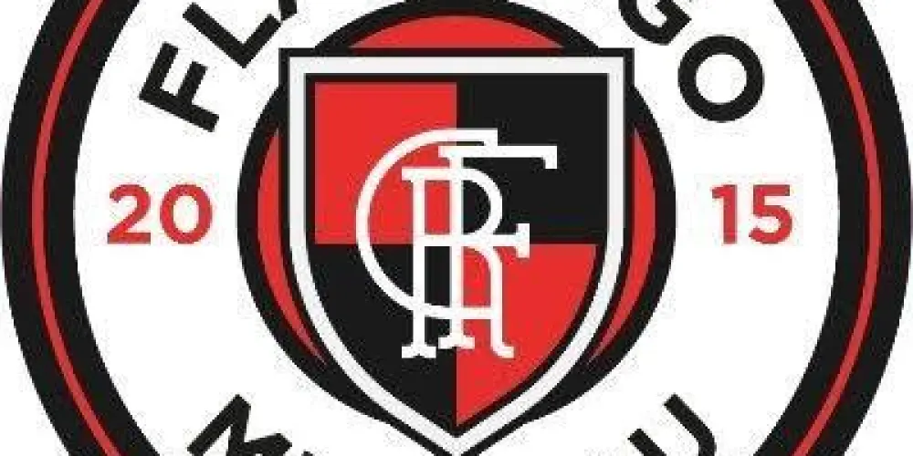 Imagem do grupo de WhatsApp FLAMENGO MIL GRAU⚫🔴⚫🔴