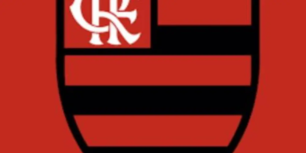 Imagem do grupo de WhatsApp 🔴⚫ FLAMENGO OFICIAL 🔴⚫