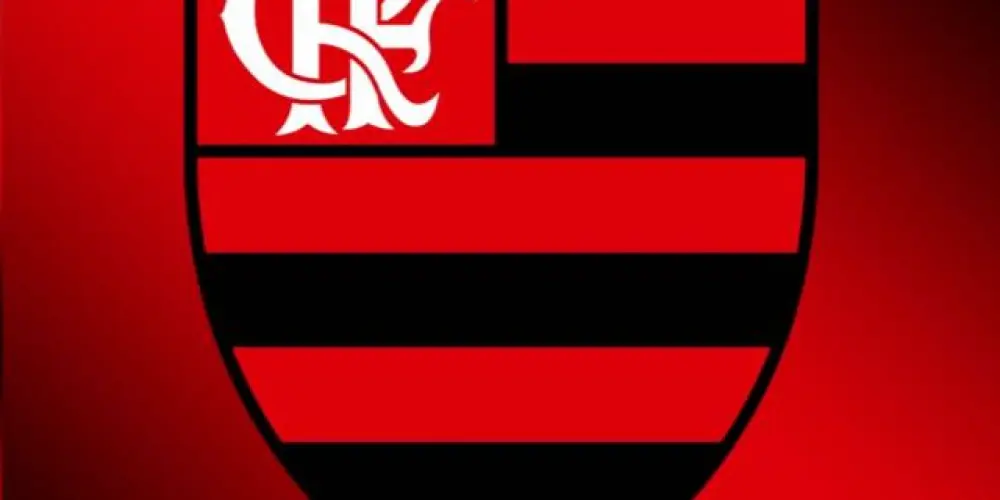Imagem do grupo de WhatsApp FLAMENGO OFICIAL GRUPO