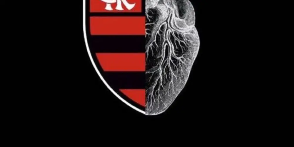Imagem do grupo de WhatsApp 🇦🇴🔴 FLAMENGO RAIZ