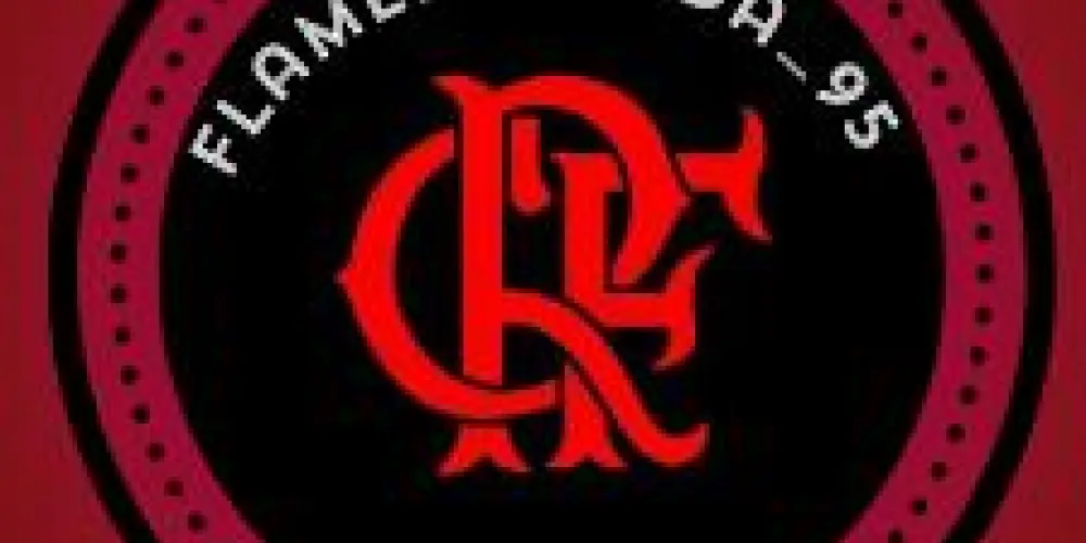Imagem do grupo de WhatsApp Flamengovida_95❤🖤