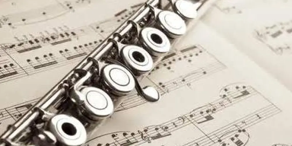 Imagem do grupo de WhatsApp Flauta transversal🪈❤️‍🔥