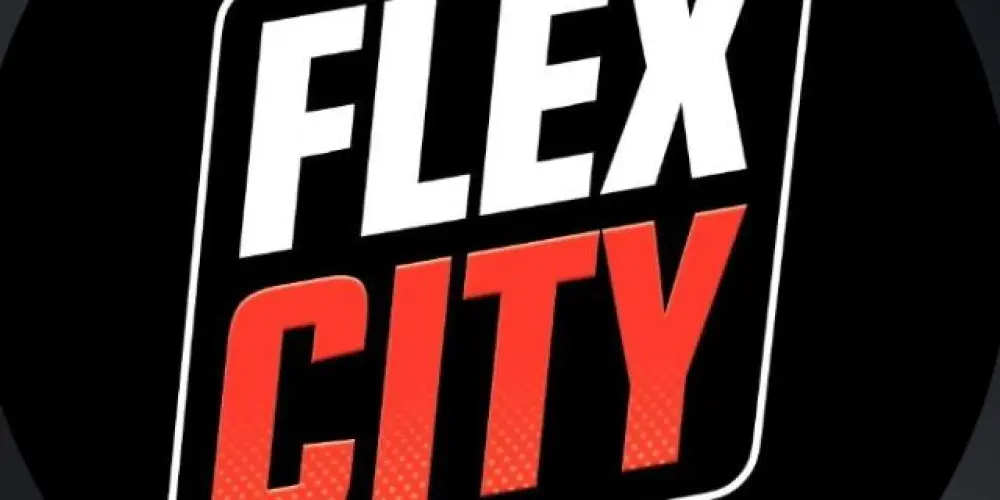 Imagem do grupo de WhatsApp Flex City 🌐