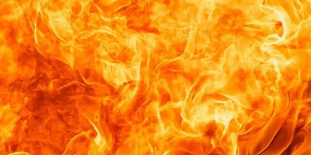 Imagem do grupo de WhatsApp ○FLOGSTAM🔥100%