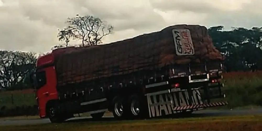 Imagem do grupo de WhatsApp Flogueiro 🤙🏼🚛💨