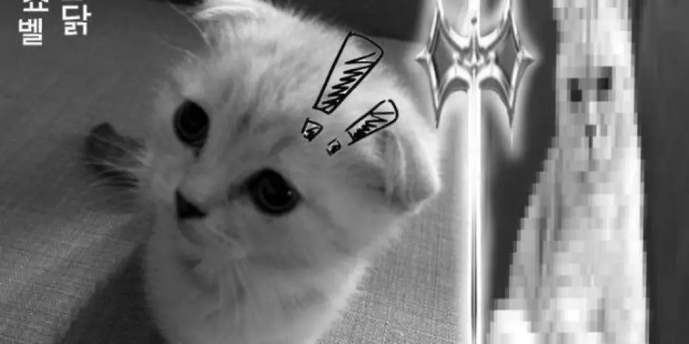 Imagem do grupo de WhatsApp FΛПƬΛƧIΣ 👣