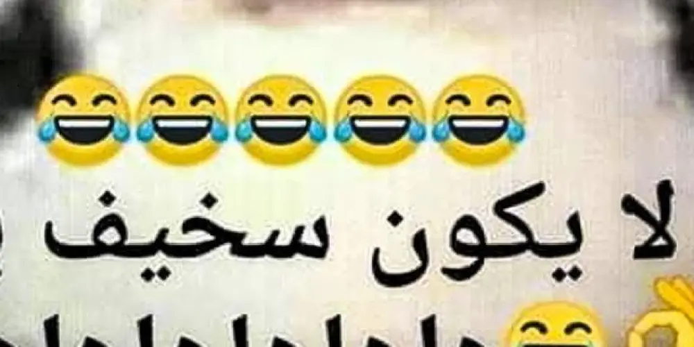 Imagem do grupo de WhatsApp FML WEB