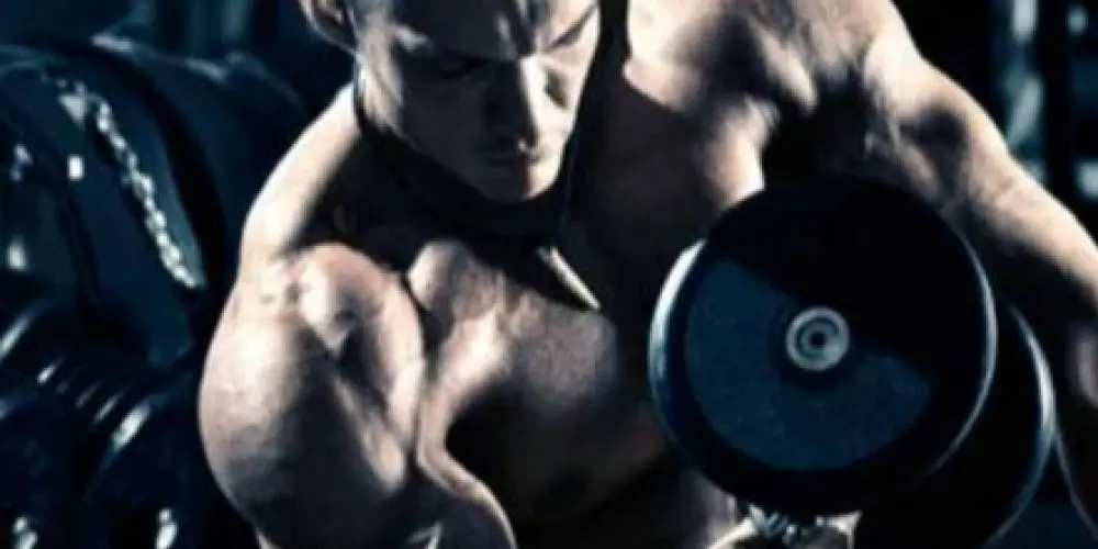 Imagem do grupo de WhatsApp Foco e Forma - Treinos, Dieta, Dicas e Evolução 🥗 (MK Pharma 💊💉).