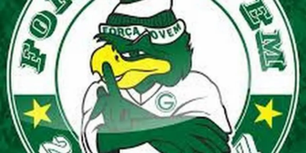 Imagem do grupo de WhatsApp FORCA JOVEM GOIAS 🇳🇬🚩