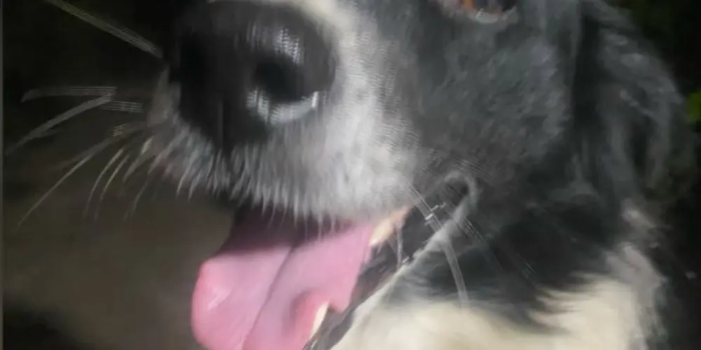 Imagem do grupo de WhatsApp FORÇANDO A LINHA 1.0 🤯😈💯