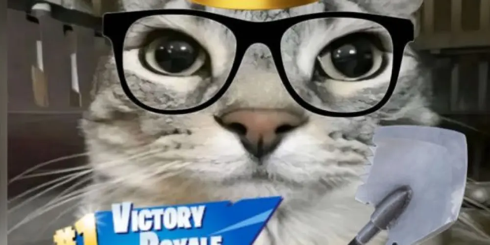 Imagem do grupo de WhatsApp Fortnelson