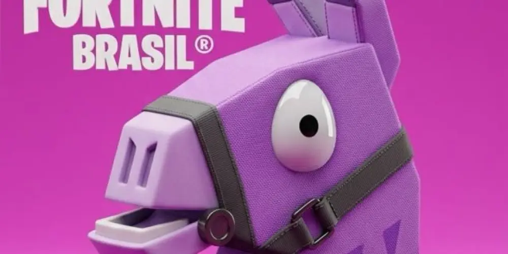 Imagem do grupo de WhatsApp Fortnite Brasil®