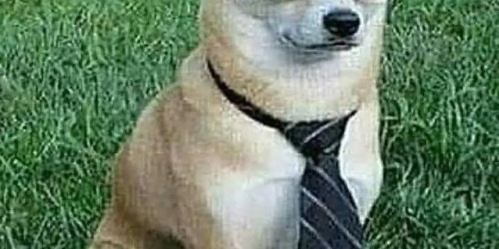 Imagem do grupo de WhatsApp Foto zuada