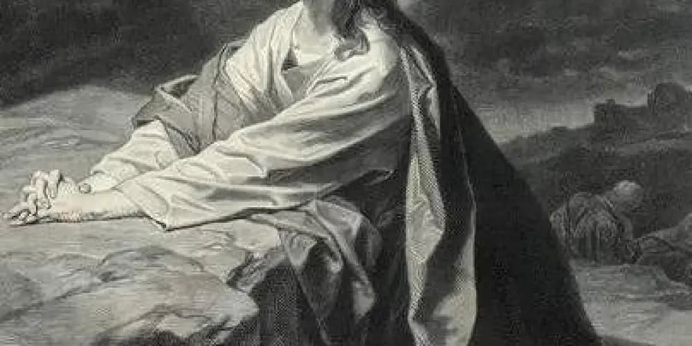 Imagem do grupo de WhatsApp Fratres in Christo