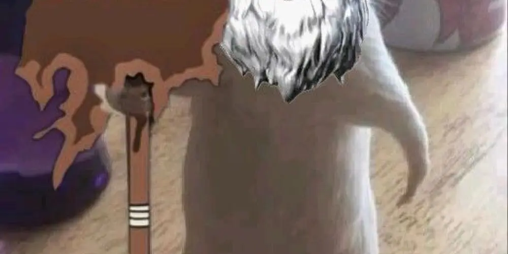 Imagem do grupo de WhatsApp FREE FIRE APOSTADO🔥