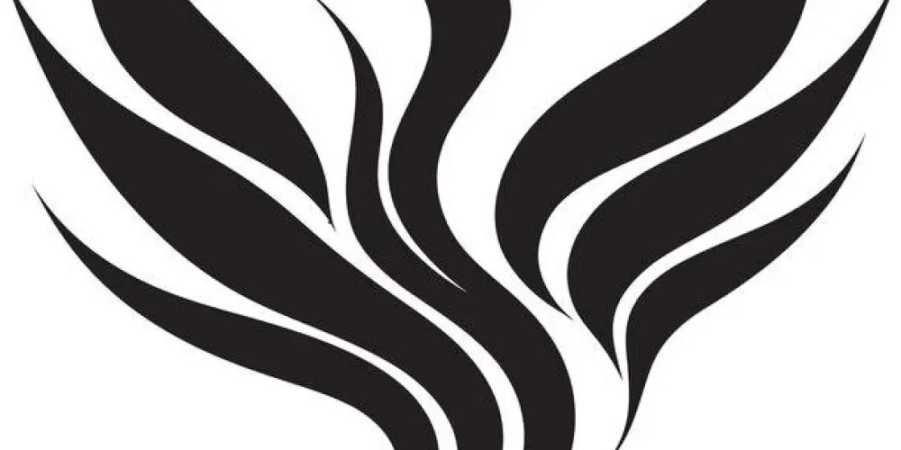 Imagem do grupo de WhatsApp Free fire da meia-noite 🌕