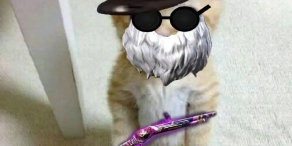 Imagem do grupo de WhatsApp FREE FIRE DEGOH