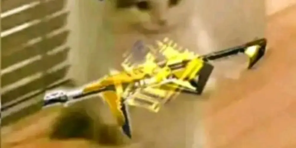 Imagem do grupo de WhatsApp Free fire todo dia