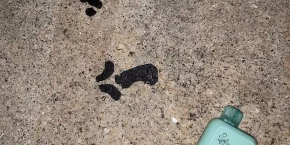 Imagem do grupo de WhatsApp Freecontent🤍👀