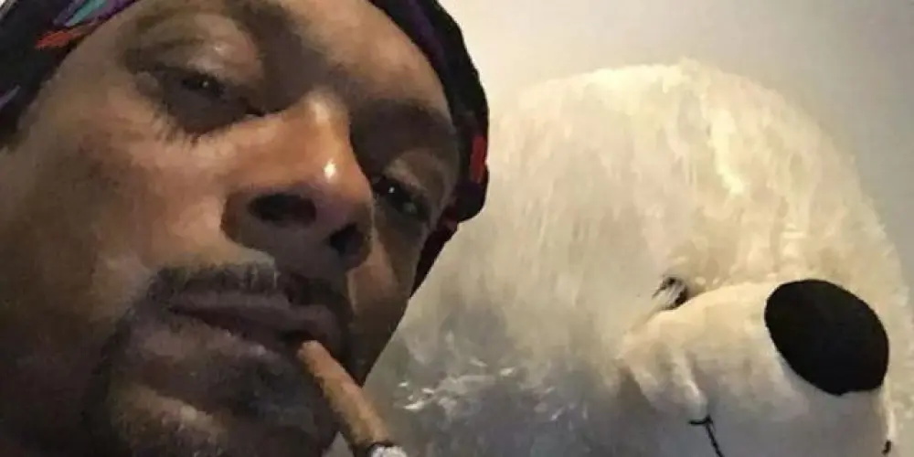 Imagem do grupo de WhatsApp fresco não entra🐒🙉