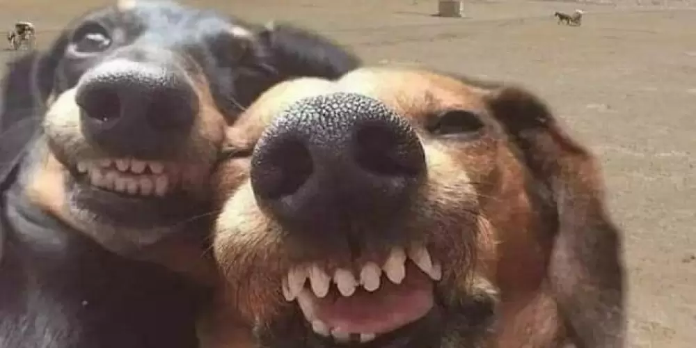 Imagem do grupo de WhatsApp F.R.I.E.N.D.S 🫶🏼