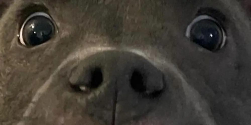 Imagem do grupo de WhatsApp Friends 🖤⛓️💍