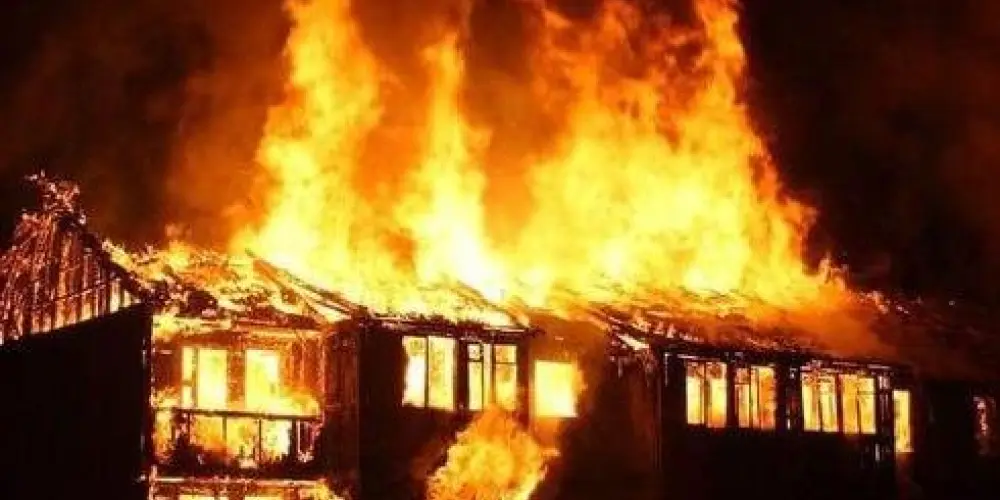 Imagem do grupo de WhatsApp "Friends"