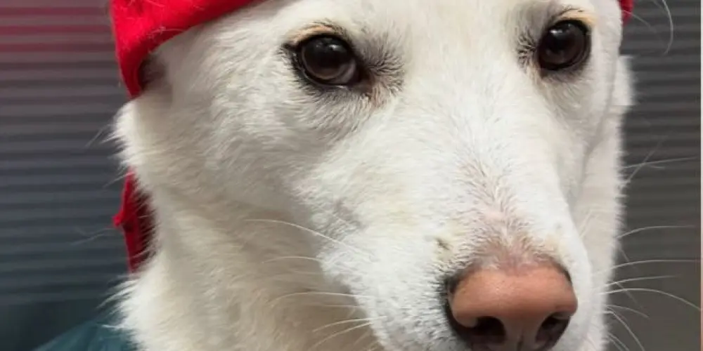 Imagem do grupo de WhatsApp Friends