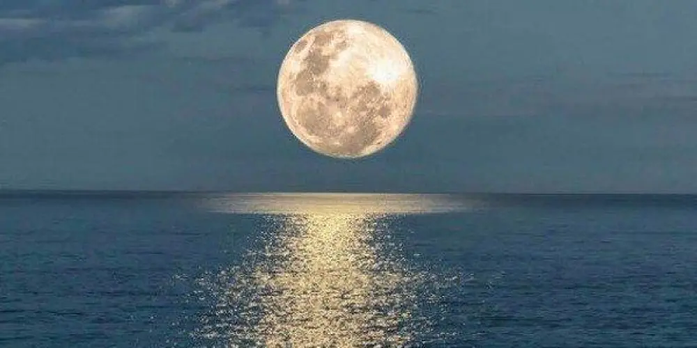 Imagem do grupo de WhatsApp Friends