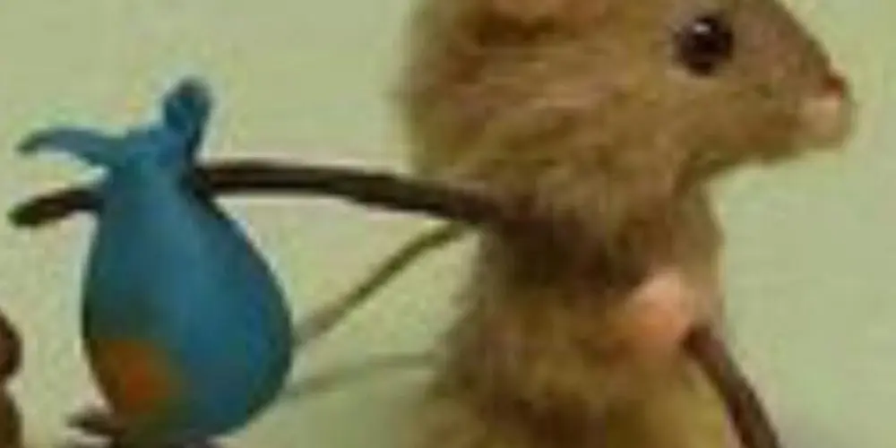 Imagem do grupo de WhatsApp Friends and love ❤️‍🩹