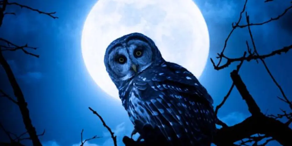 Imagem do grupo de WhatsApp 🤍FRIENDS⭐ NIGHT💤